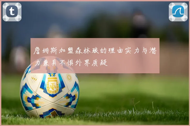 詹姆斯加盟森林狼的理由实力与潜力兼具不惧外界质疑